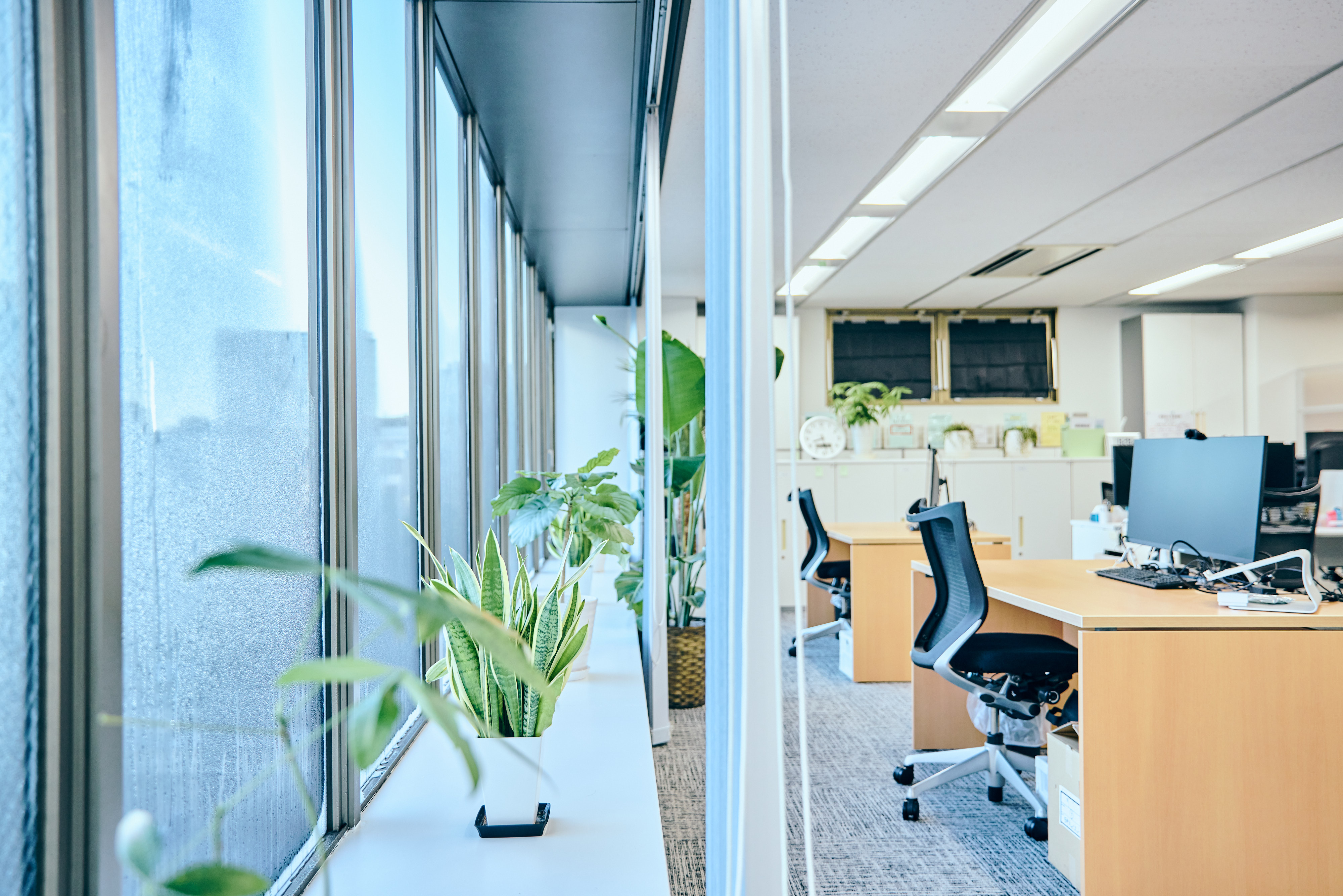 Office Corridor