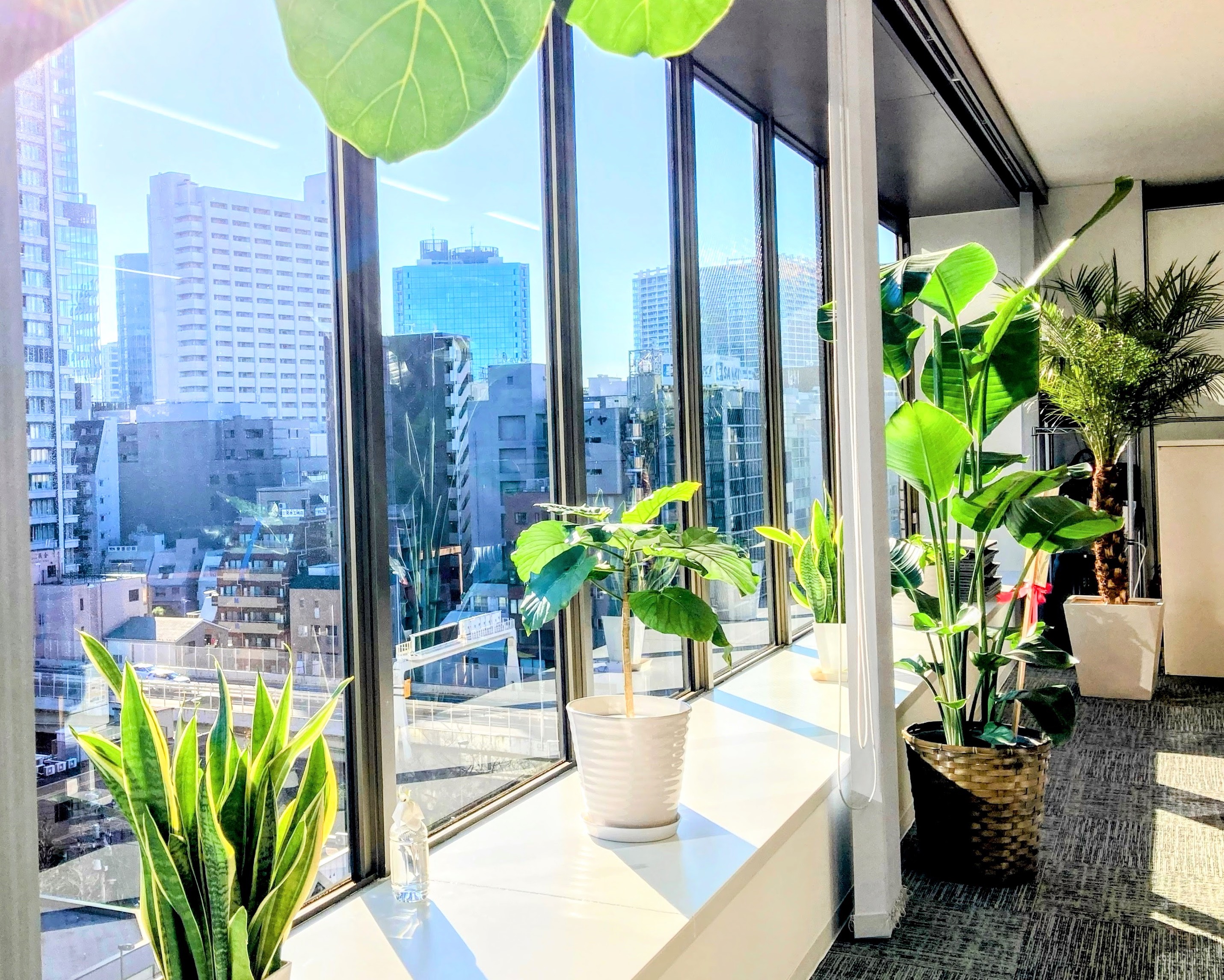 Our Office